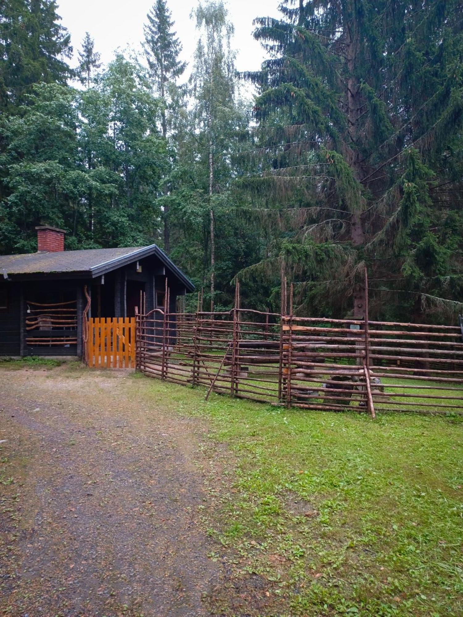 Accommodation And Fishing Vonkale Äänekoski Exterior foto